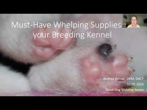 Good Dog Webinar: Must Have Whelping Supplies for Your Breeding Kennel