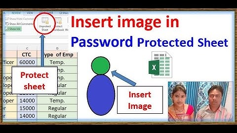 Insert image in Password Protected Sheet |  Microsoft Excel cannot paste the data | excel