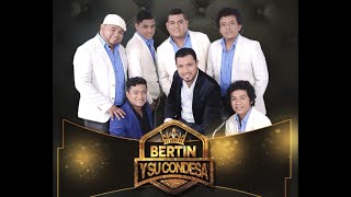 Video thumbnail of "Ay Amor - Bertín y su Condesa"