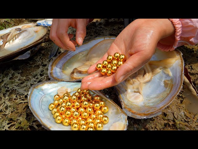 Golden Pearl # Pearl Clam, I unexpectedly opened golden pearls from the  river clam! 