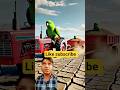 parrot |facts |bards | kahani |funny parrot |funny pet |cute parrot |cute pet |parrot lover |