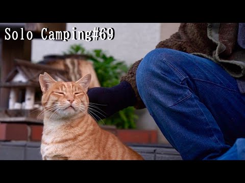 【ソロキャンプ】秋の湖で紅葉と猫を愛でる【保護猫 】