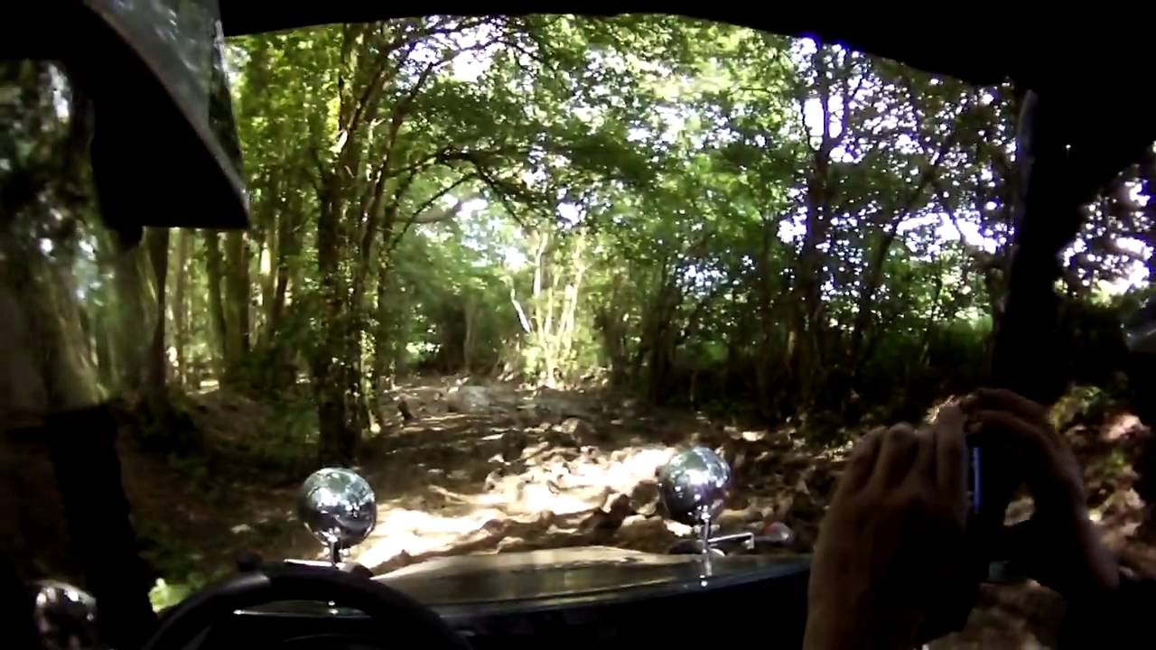 joyner 650 buggy reviews