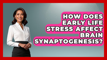 How Does Early Life Stress Affect Brain Synaptogenesis? - Brain Development Hub