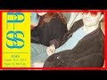 Tops来日ツアーにHomecomings、The Wisely Brothers、Luby Sparksら - 音楽ナタリー