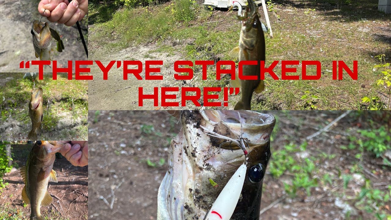 Bass Fishing in a Hidden Local Pond – Spring Bite is ON!