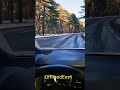 Дорога через лес #automobile