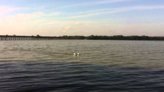 Slowboat Video 3 By Butch Tozier