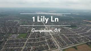 1 Lily Ln