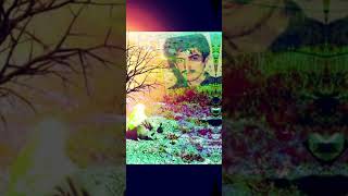 Yarami Saracak Bir Sensin Anam