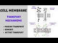 Cell Membrane Transport Mechanisms Quiz