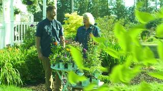 In the Garden: Long-Term Blooming Pollinator Plants