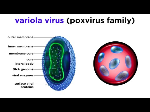 Video: Poate variola bovină să infecteze oamenii?