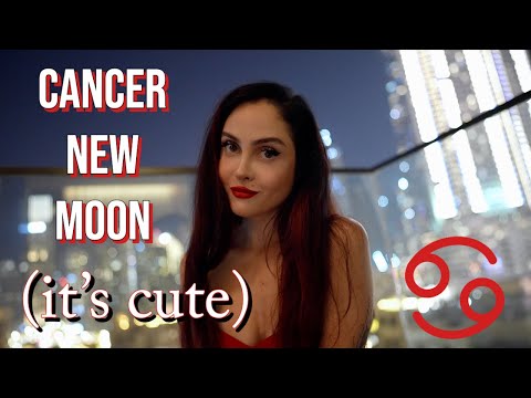 NEW MOON IN