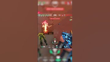 Sage Mains Must Try This Fake Wall