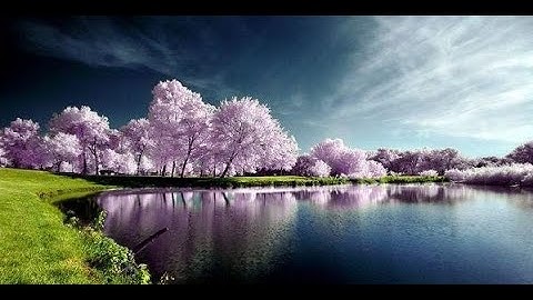 ( نصف الحزب 13 ) المائدة من الآية  109 إلى  120 ، الأنعام من الآية 1 إلى 12 ، القارئ  هاني الرفاعي
