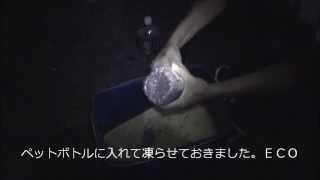 釣れる集魚剤の作り方の巻。