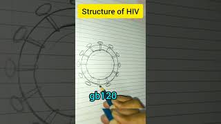 How to draw HIV |AIDS| #short #aids #biology #cbse #icse Resimi