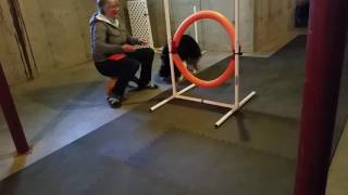 Obstacles Commitment 2 Tire #1