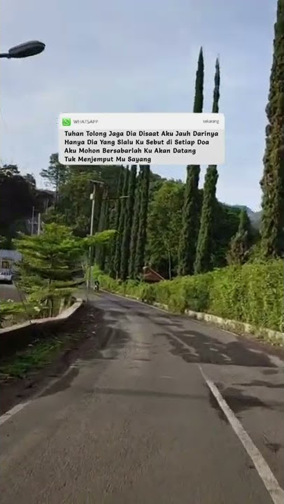 Tunggulah Kasih | Zinidin Zidan #zidan #fyp #tunggulahkasih #storymusik #storywa