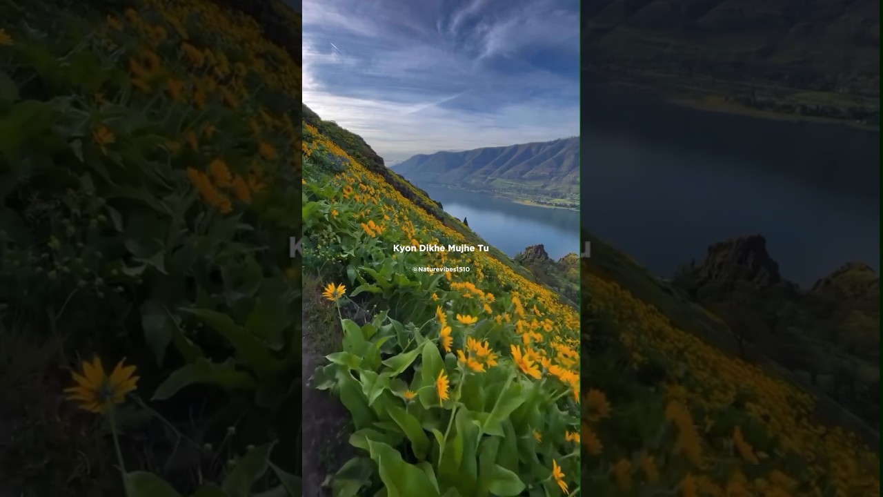 Channa Ve Song by Akhil Sachdeva and Mansheel Gujral 