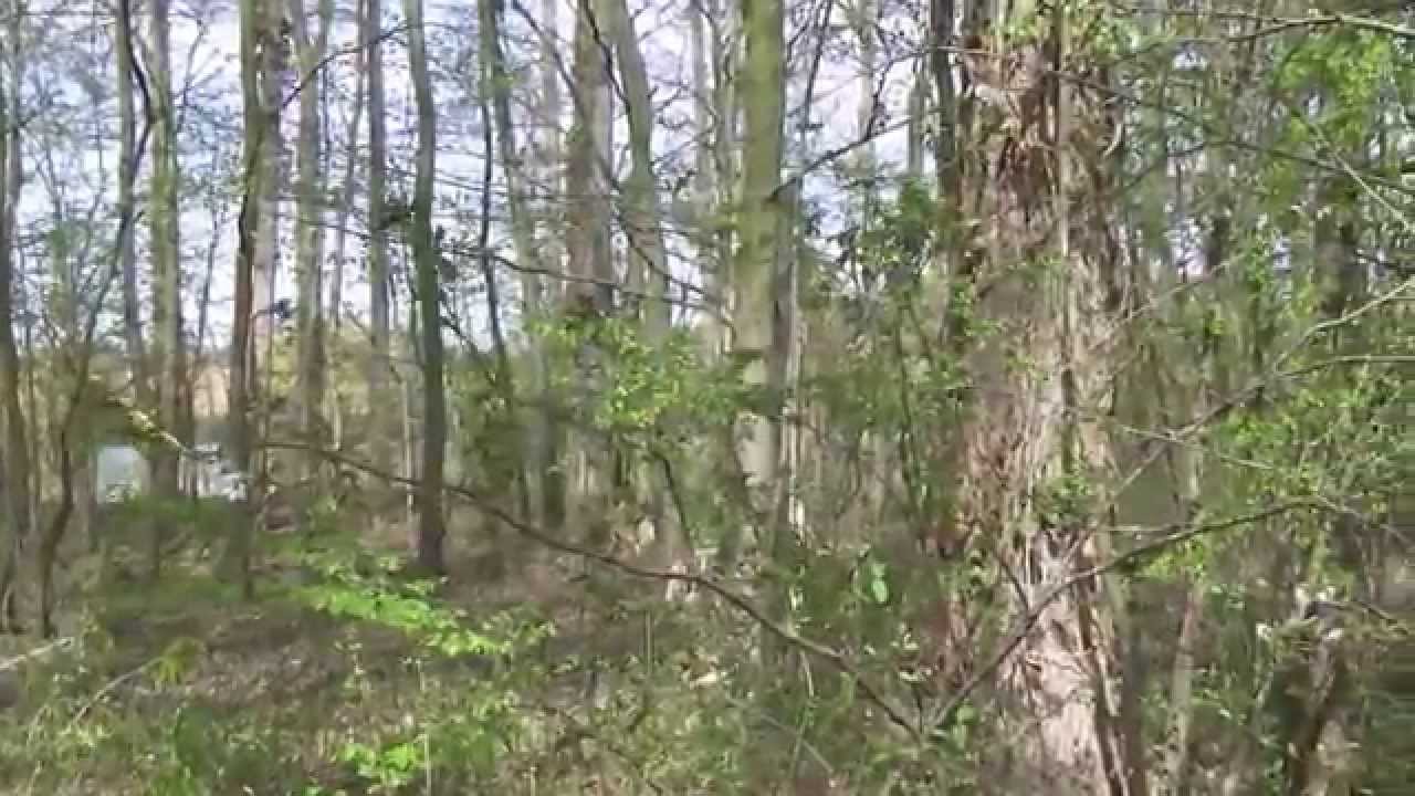 Etang à la vente Soissons, Mandat 408 Forêt Investissement