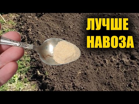 Видео: Красивая зеленая крыша