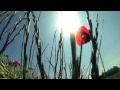 Capture de la vidéo La Habitación Roja - La Riviera (Madrid) Teaser #3