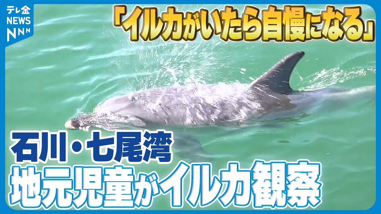 石川・七尾湾で地元児童がイルカ観察】｢イルカがいたら自慢になる