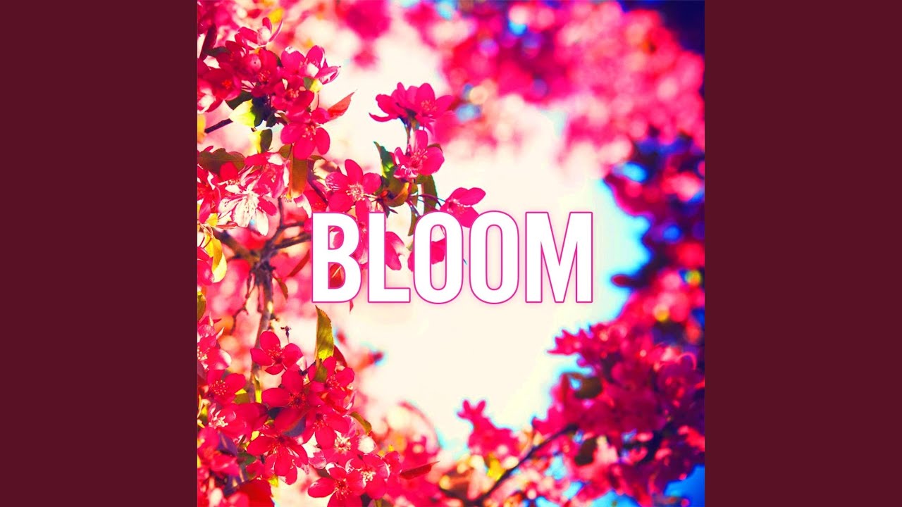 Manzanita (Interlude)