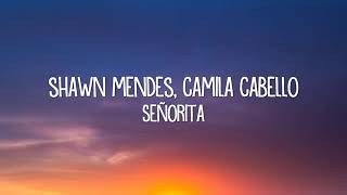 Shawn Mendes,Camila Cabello-Señorita(with lyrics) Resimi