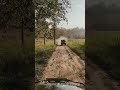 #viral