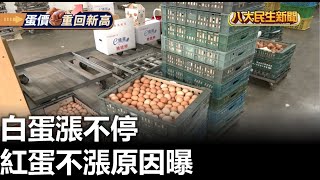 白蛋漲不停 紅蛋不漲原因曝 |【民生八方事】| 2023021303 @gtvnews27