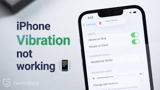 iPhone not Vibrating/Vibration not Working? Top 6 Methods to Fix screenshot 1