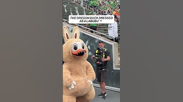 Oregon Duck dress as the Labubu Bear 🐻🦆 #oregon #football #ncaa #touchdown