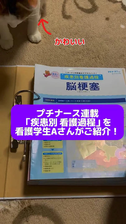 プチナース連載「疾患別 看護過程」を、看護学生Aさんがご紹介🐱❤️     #看護師 #看護学生 #看護 #看護師国家試験 #看護国試 #shorts