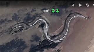 Snake Skeleton Mystery Google Mapvideo Br Short33