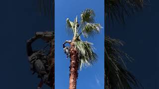 Must watch #racon #bellyflop #lol