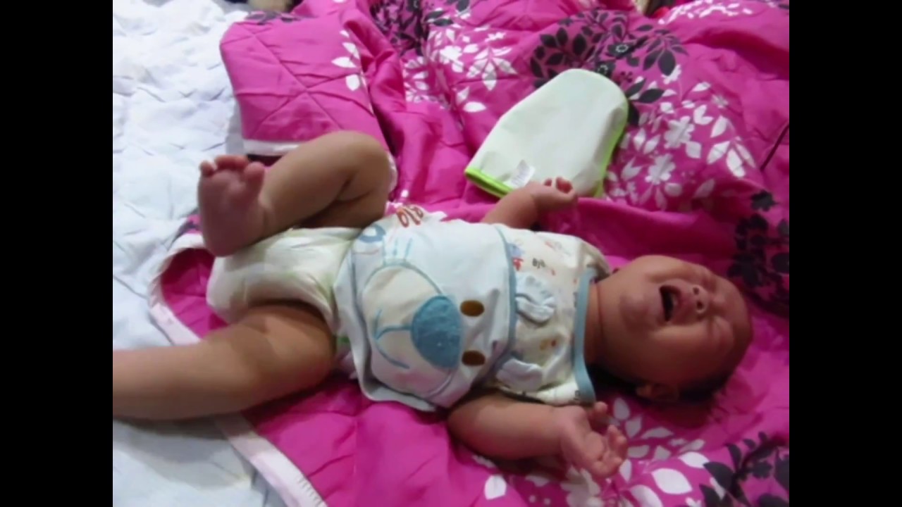 滿月鵬 男高音狂哭哭篇【鵰鵬幼幼育嬰記】