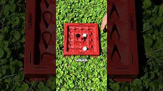 What Orbito Looks Like