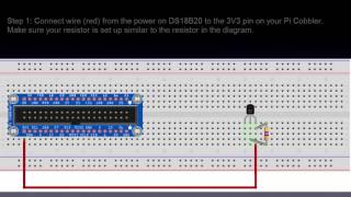 Automatically Discovering a 1-Wire Device - DS18B20 Temperature Sensor