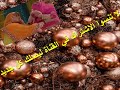 مسلسل يدي بيدك الحلقة121