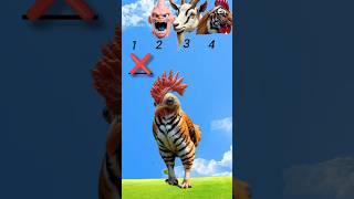 Mustafa Mustafa Islamic Short Video