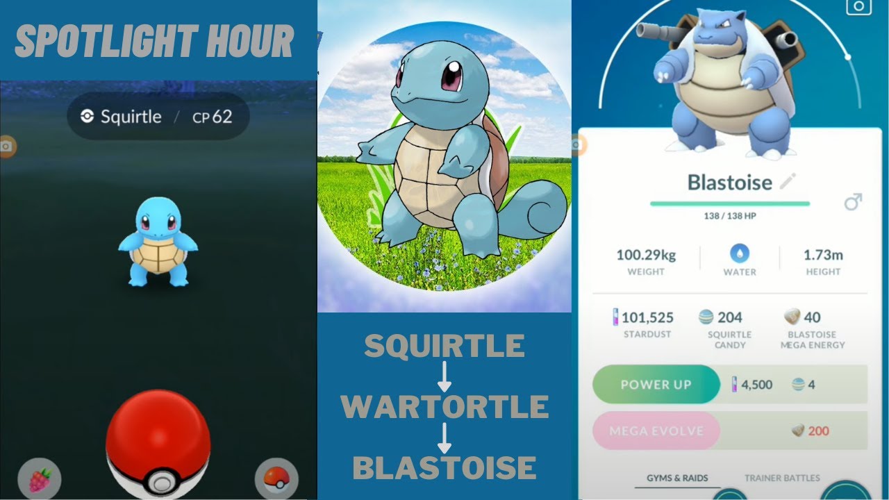 Squirtle Spotlight Hour