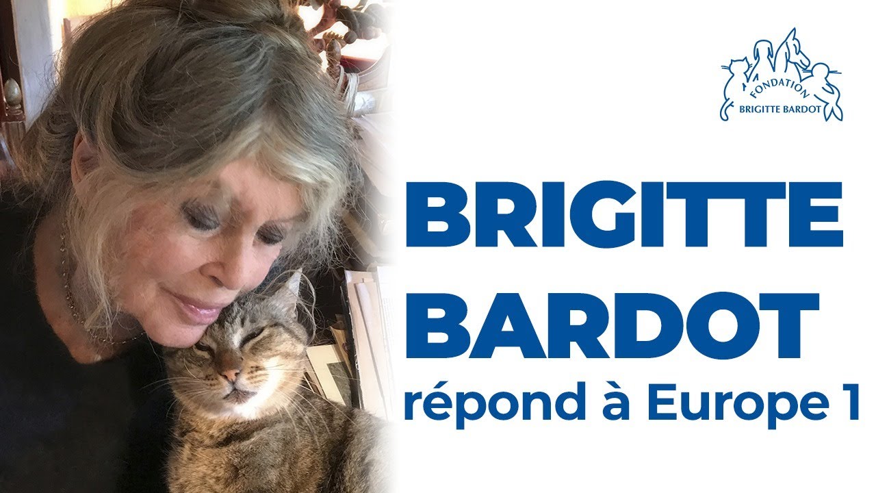 Europe 1 Interview De Brigitte Bardot Par Wendy Bouchard 05 04 Youtube Europe 1 Interview De Brigitte Bardot Par Wendy Bouchard 05 04 Youtube
