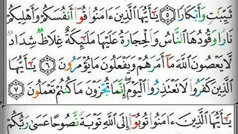 سورة  التحريم مكتوبة للشيخ عبد الوالي الأركاني برواية حفص عن عاصم - القرآن كاملا -