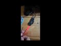 sensor de fibra optica.