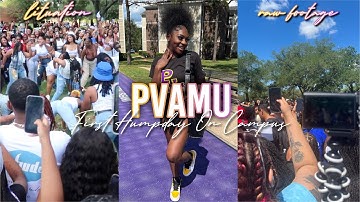 GRWM: First Hump Day At PVAMU!! | Fraternity & Sorority Strolling, Campus Life