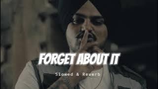 Forget About It - Slowed & Reverb - Sidhu Moose Wala