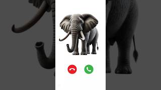 A Nice Elephant Calling You...